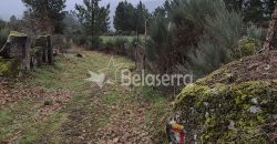 Terreno Rústico Muxagata