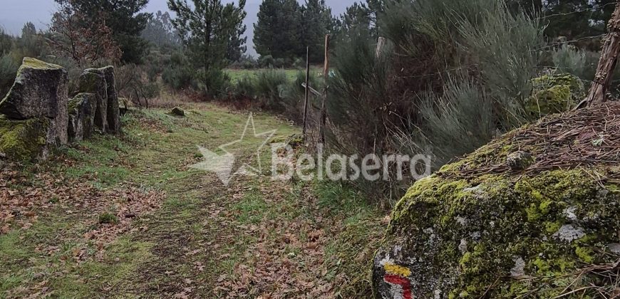 Terreno Rústico Muxagata