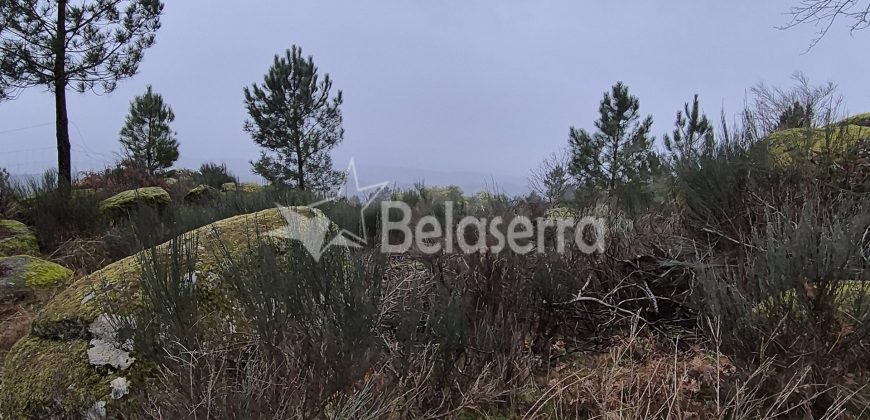 Terreno Rústico Muxagata