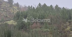 Terreno Rústico Muxagata