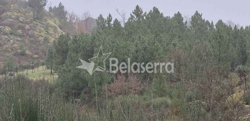 Terreno Rústico Muxagata