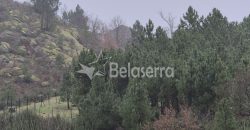 Terreno Rústico Muxagata