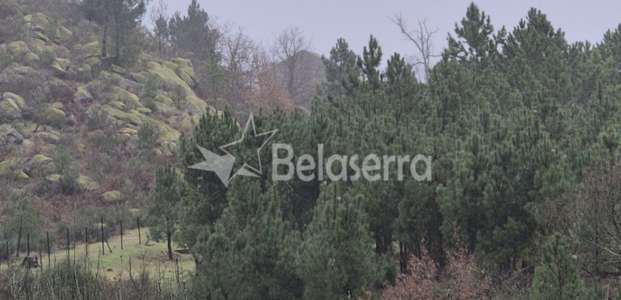 Terreno Rústico Muxagata