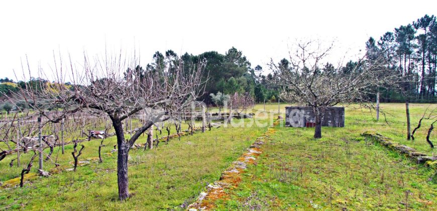 Quintinha nas Lajes