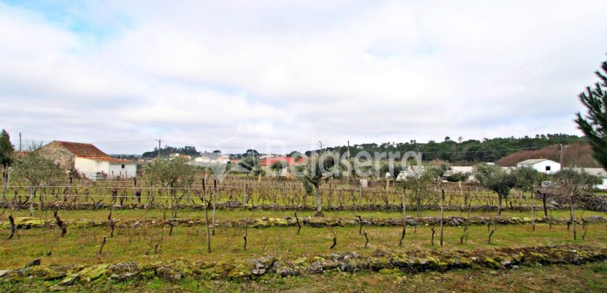 Quintinha nas Lajes