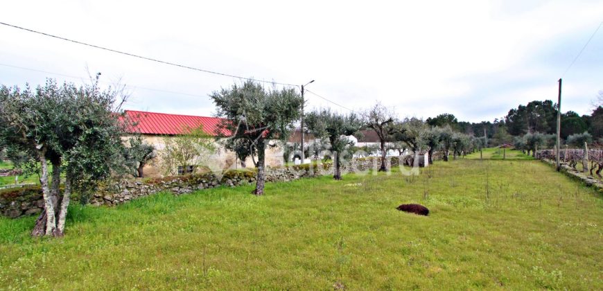 Quintinha nas Lajes