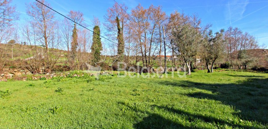 Edifício Com Terreno