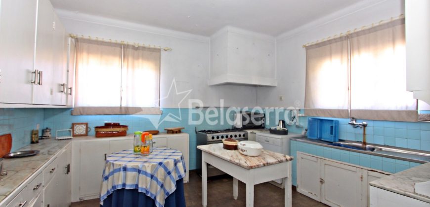 Moradia no Centro de Seia