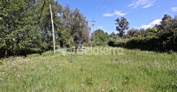 Edifício Com Terreno