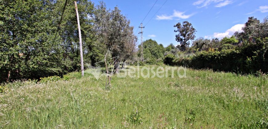Edifício Com Terreno