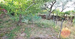Terreno Rústico na Aldeia da Serra