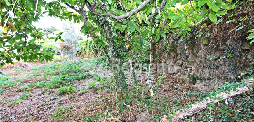 Terreno Rústico na Aldeia da Serra