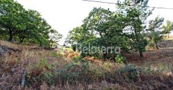 Terreno na Aldeia da Serra