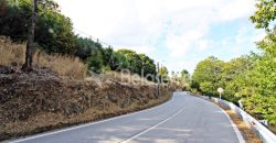 Terreno na Aldeia da Serra