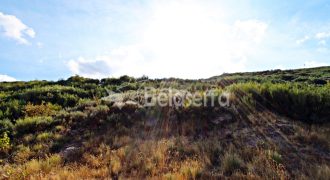 Terreno na Aldeia da Serra