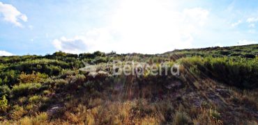 Terreno na Aldeia da Serra
