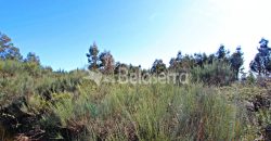 Moradia com terrenos em Girabolhos