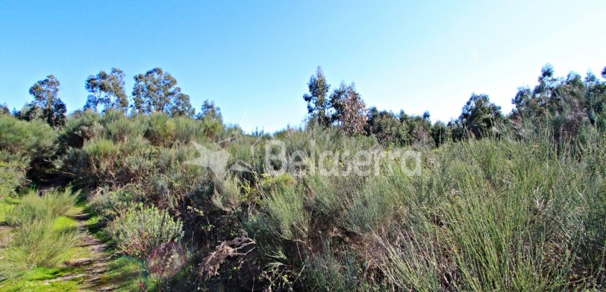 Moradia com terrenos em Girabolhos