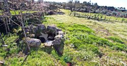 Moradia com terrenos em Girabolhos