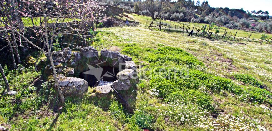Moradia com terrenos em Girabolhos
