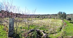 Moradia com terrenos em Girabolhos