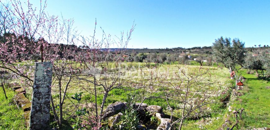 Moradia com terrenos em Girabolhos
