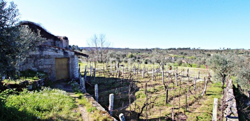Moradia com terrenos em Girabolhos