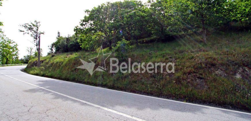 Terreno na Aldeia da Serra
