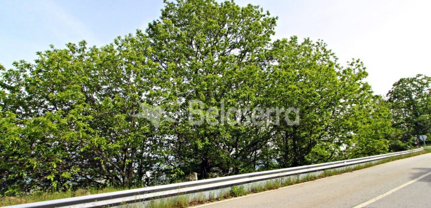 Terreno na Aldeia da Serra