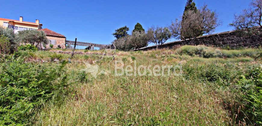 Terreno para construção em Celorico