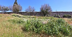 Terreno para construção em Celorico