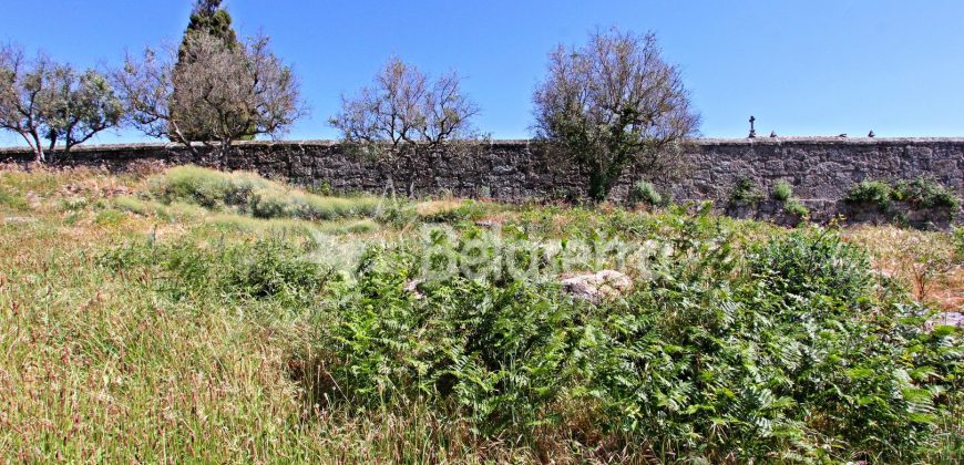 Terreno para construção em Celorico