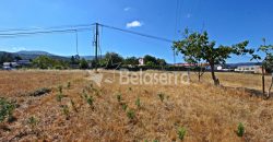 Terreno em São Romão