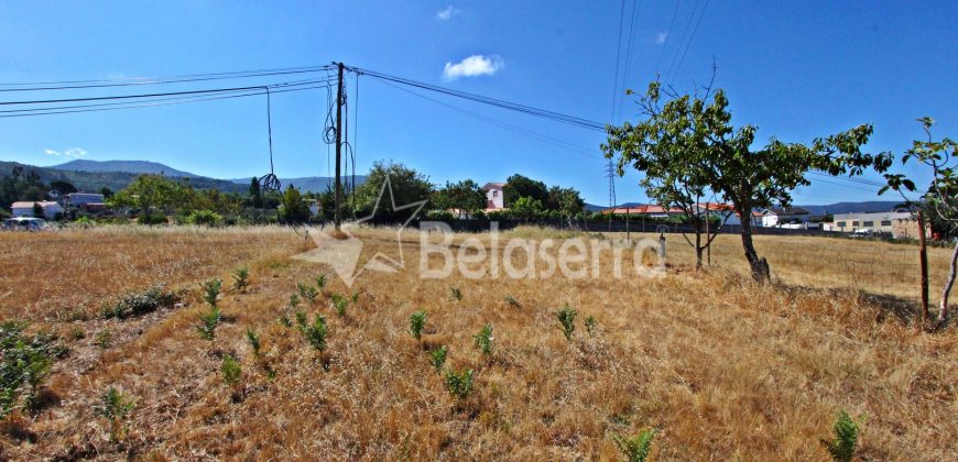 Terreno em São Romão