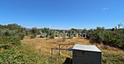 Terreno Rustico em Nabais