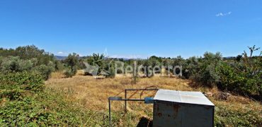 Terreno Rustico em Nabais