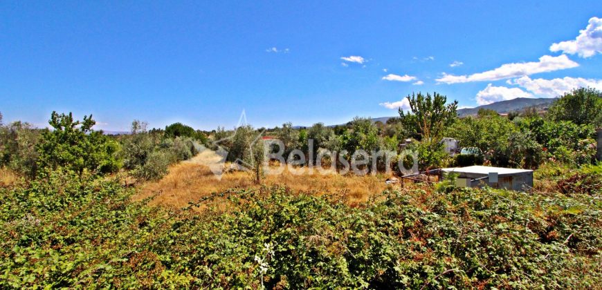 Terreno Rustico em Nabais
