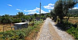 Terreno Rustico em Nabais