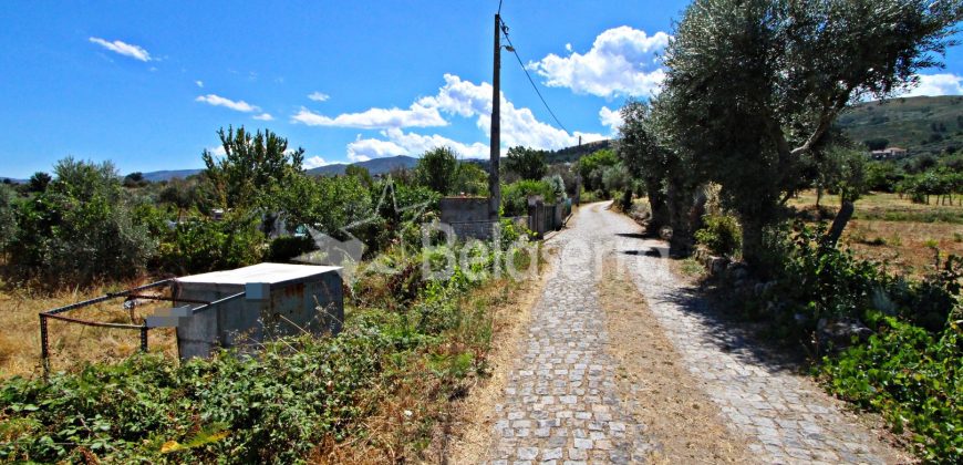 Terreno Rustico em Nabais