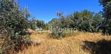 Terreno Agrícola em Nabais
