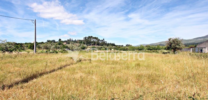 Casa de Pedra e Terreno em Nespereira