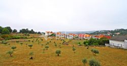 Moradia no Carvalhal da Louça