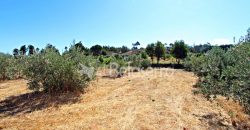 Terreno Rustico em Cativelos