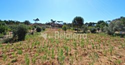 Terreno Rustico em Cativelos