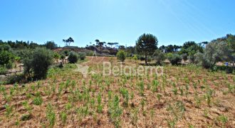 Terreno Rustico em Cativelos