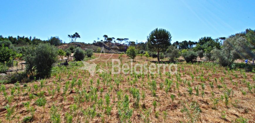 Terreno Rustico em Cativelos