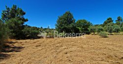 Terreno em Cativelos