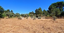 Terreno em Cativelos