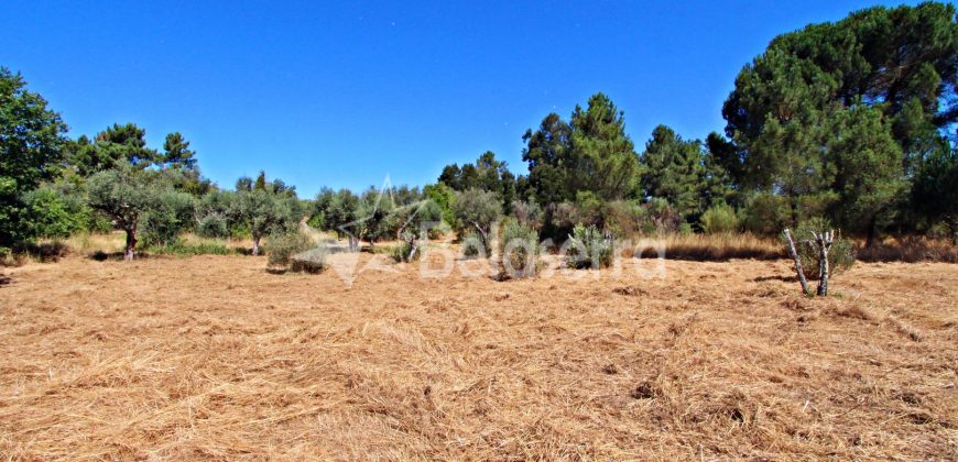 Terreno em Cativelos
