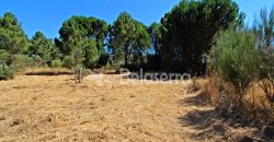 Terreno em Cativelos